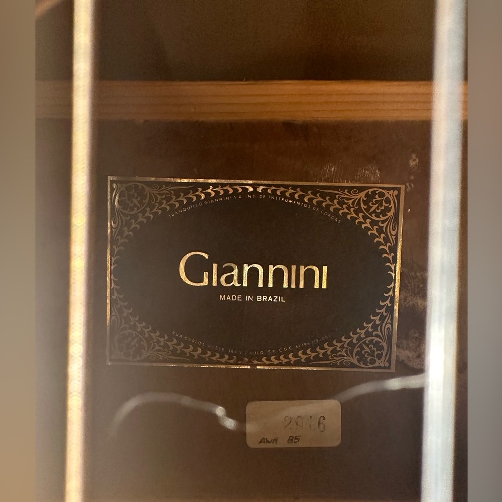 Giannini Aciustic Guitar AWN85 2916 - Picture 2 of 10